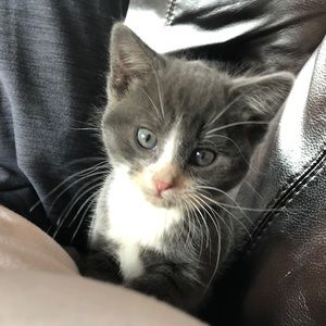 Meet your Posher, Kylah